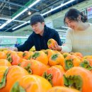 영암농협하나로마트 이미지