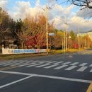 울주공연배달 3회 | 제 3회 영남알프스 전국하프마라톤대회 10km PB 달성