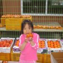 서연농장 이미지