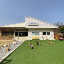 이재룡의 뭉개뭉개유치원 이미지