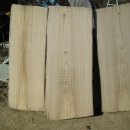 오동나무농장 이미지