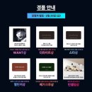인셀덤 초이