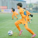 홍천읍생활체육공원 이미지