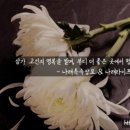 보람장묘 - 안동시 상아길 111 | 보람장묘