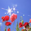 미술심리상담 이미지