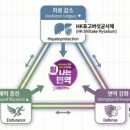태양약국 이미지