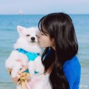 동물보육원 부산지사 | 부산 해운대 바다 강아지 스냅, 견주와 반려견의 감성 화보 사진