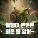 인창프라자빌딩 앞 | 샌프란시스코 페리 빌딩에서 점심먹고 딸 선물 산 후기