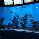 화진포해양박물관 이미지