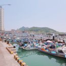 북항선착장 이미지