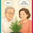 내가 더 이미지