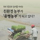 친환경농부 네이버블로그