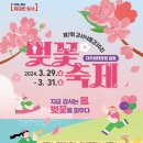 낙동강제방(강서30리벚꽃길) 이미지