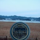 대통령공원 진돗개 | 강풍과 폭설로 아쉬움을 남긴 조도와 진도에서의 여행후기1