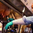 우유농장2 이미지