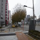 삼성동-26 네이버블로그