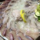 홀딱삐낀산오징어
