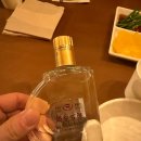 몽중인 티스토리