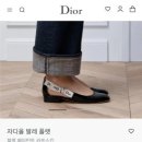 짐앤델라 | 📬26.Feb 일상 (르메르 포춘백 구매, 토템, 시에, 마시모두띠)
