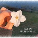 시절 인연 이미지