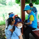 금구초교 이미지