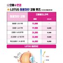 금호안경콘택트 이미지