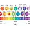 이롬황성주생식 네이버블로그