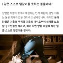 🐑 요즘 양모 자켓이 유행이라며? 이미지