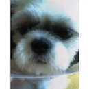 요요노래방 이미지