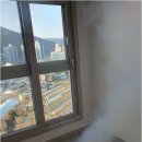 청정동물약품 이미지