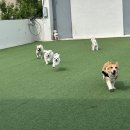 멍더캐슬 이미지