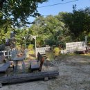 숲속 정원 이미지