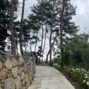 G5805 | [진주/캠핑장] 신상 캠핑장 ‘청춘별곡’ 모든 사이트 리뷰 (반려견동반)