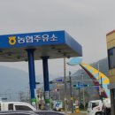 고성농협주유소 이미지