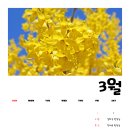 힘찬재활의학과의원