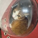 창현동물병원 | 10/5~10/25 일기몰아쓰기!!