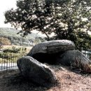 대곡동지석묘군 이미지