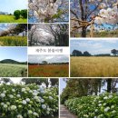 큰엉(남원관광지구) 이미지