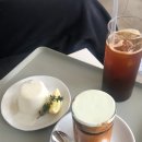 인트라던 네이버블로그
