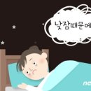 30분 이상 낮잠 자면 살찐다니..최적의 낮잠 시간은?" 이미지