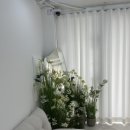 세신샵 봄날 이미지