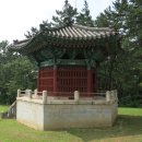 느티나무 일원 이미지