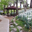 양평가로녹지 이미지