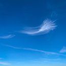 커피나루 이미지