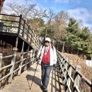 오동