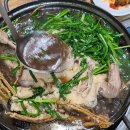 오가네옻닭 이미지