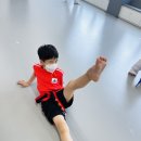 희망초 이미지