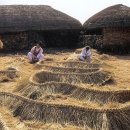 (펌) 국민을 위한 국민연금인가?? 이미지