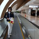 제주파크장 이미지