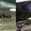 이례로-2 이미지